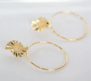 Caro Prism Hoop Hearings