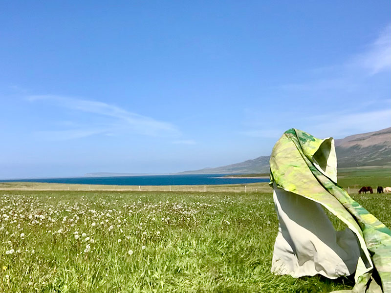 Patricia Sannit, Huldar: gras, 2021. Still from performance, Skagafjörður, Iceland. Painted canvas, grass, wind. Photo: Patricia Sannit.