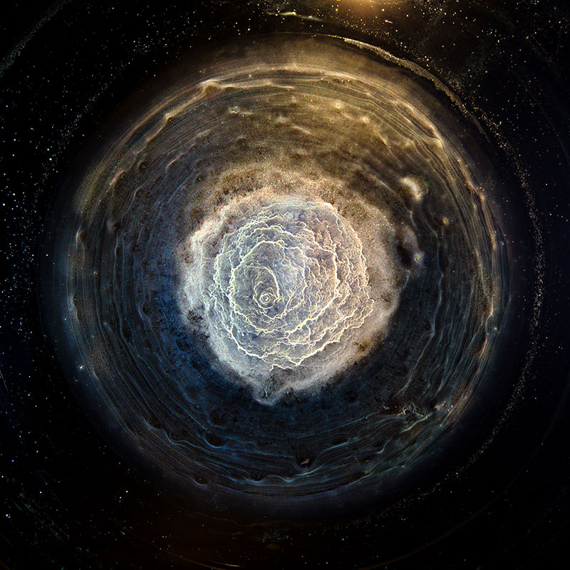 Ernie Button, Macallan 150, 2012. Archival pigment prints. Courtesy of the artist.