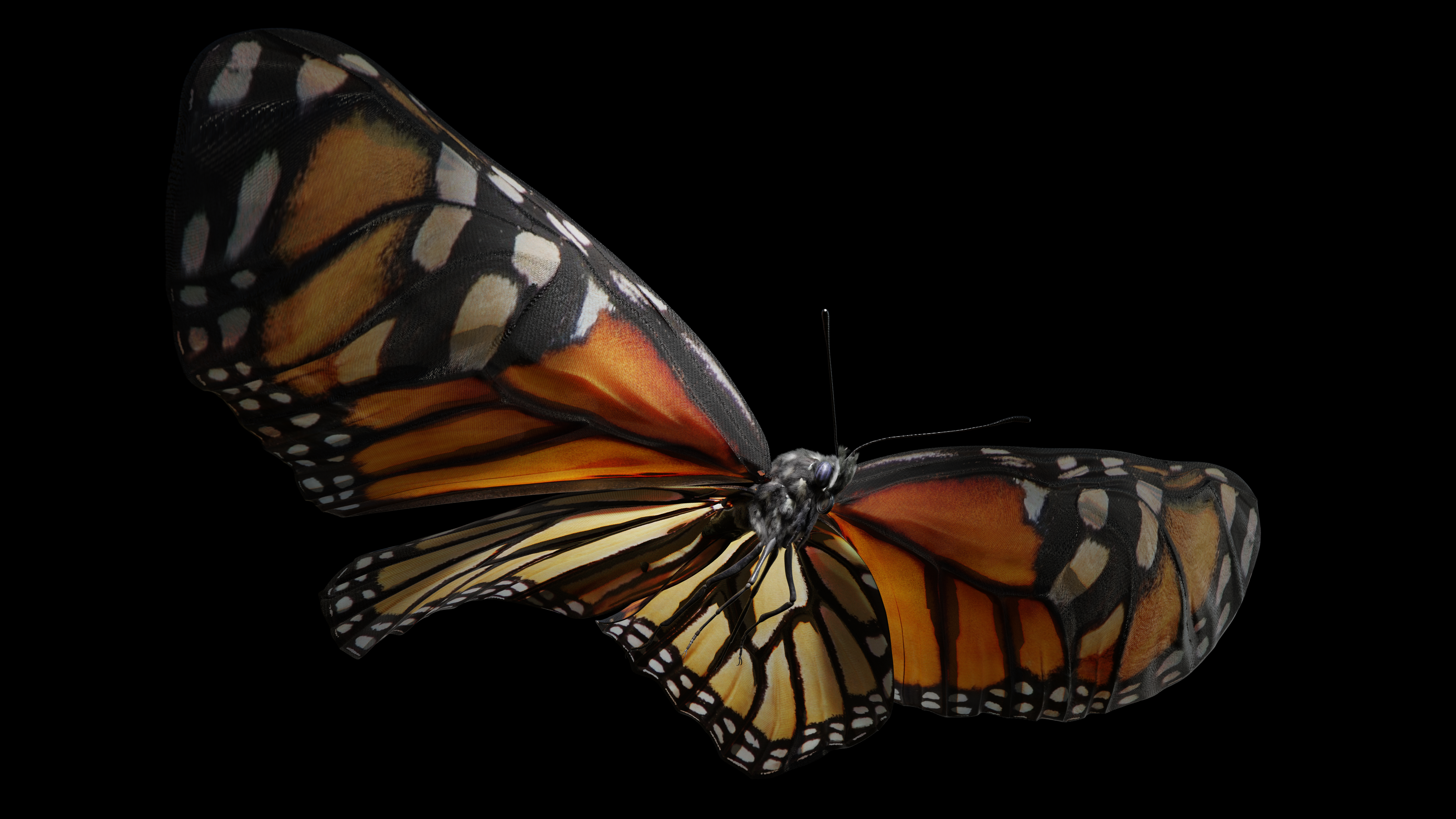 Reynier Leyva Novo: Methuselah