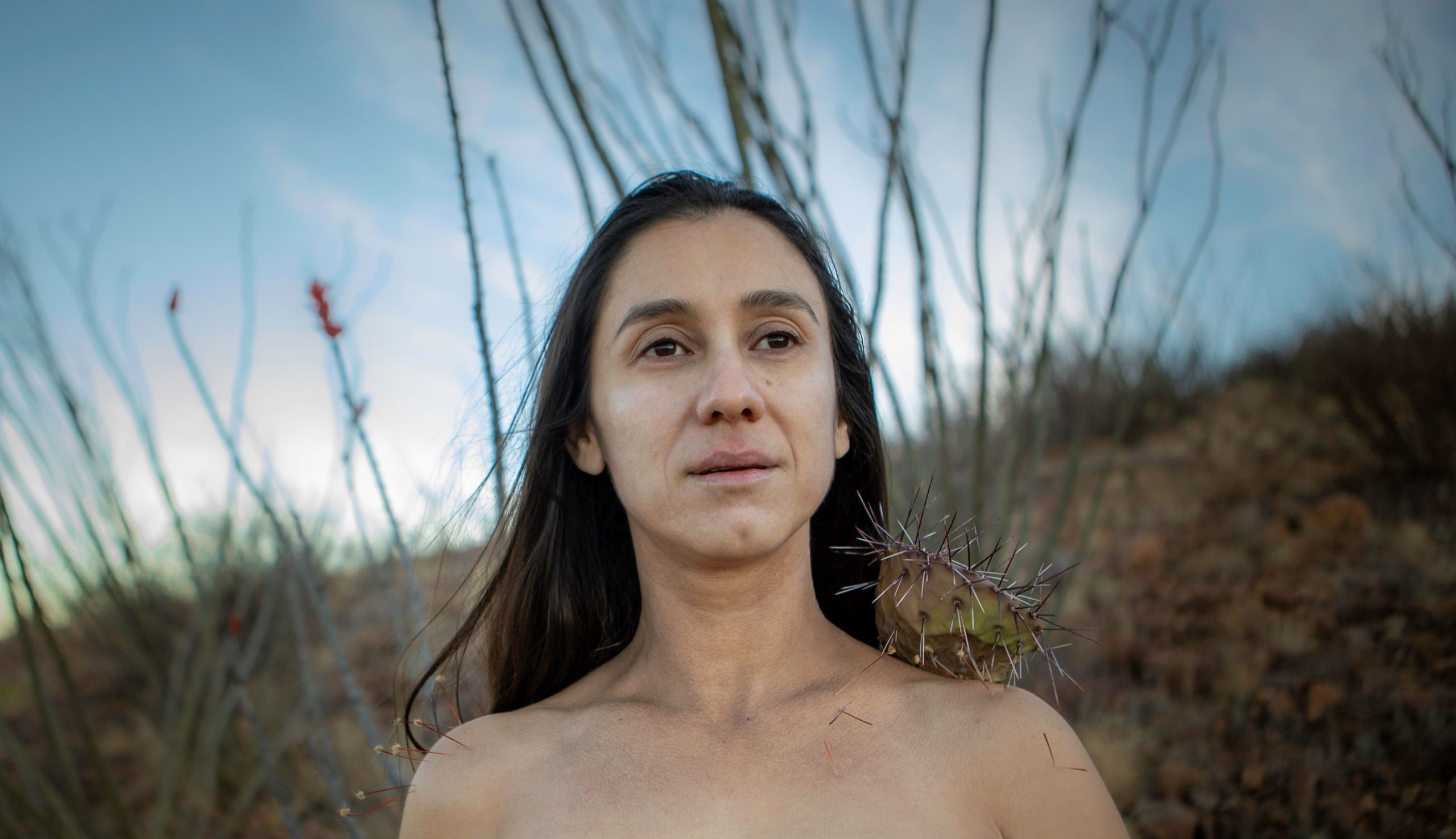 2023 Arizona Artist Awards